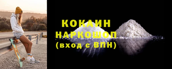 mdpv Бородино
