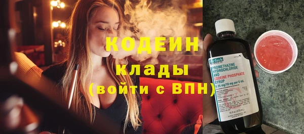 спиды Богданович