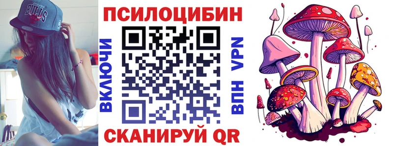 Псилоцибиновые грибы Psilocybine cubensis  Афипский 